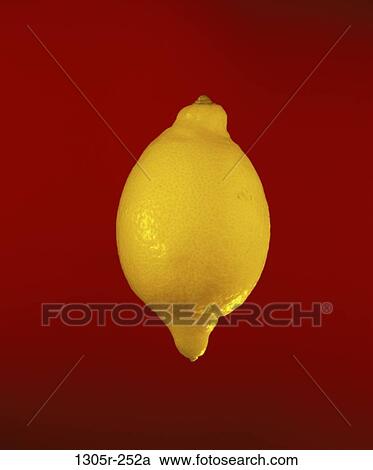 lemon, fruit, food, still life, Fruit food View Large Photo Image Stock Image - lemon, fruit, food, still life, Fruit food. Fotosearch