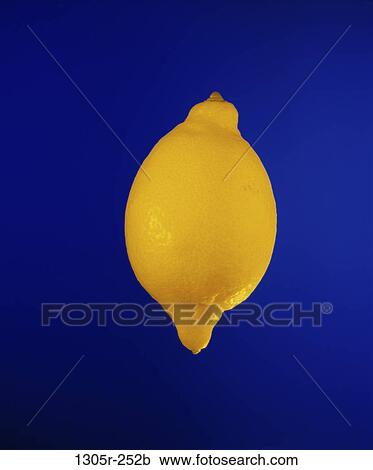 lemon, fruit, food, still life, taste, oval, ripe View Large Photo Image Stock Image - lemon, fruit, food, still life, taste, oval, ripe. Fotosearch