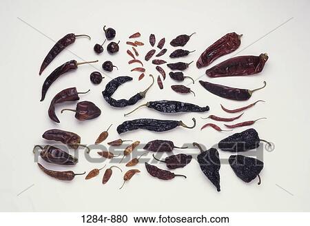 Stock Image - Mexican Chilies. Fotosearch