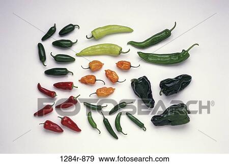 Stock Photo - Mexican Chilies. Fotosearch