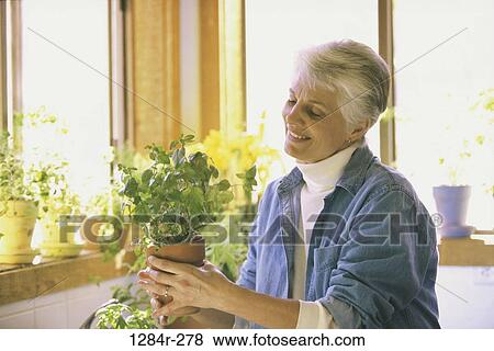 people, plants, woman, window, senior, indoors, hobby View Large Photo Image Stock Photo - people, plants, woman, window, senior, indoors, hobby. Fotosearch