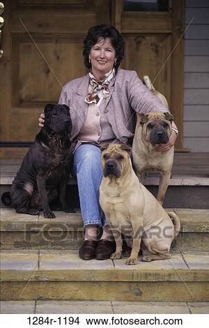 Picture - people, woman, animals, pets, outdoors, Middle-aged. Fotosearch