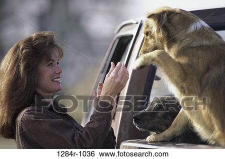 people, woman, animals, pets, outdoors, Middle-aged View Large Photo Image Stock Photograph - people, woman, animals, pets, outdoors, Middle-aged. Fotosearch