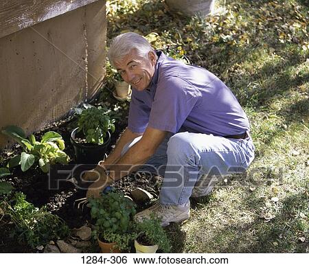 Stock Photograph - plant, people, senior, gardening, outdoors, garden. Fotosearch