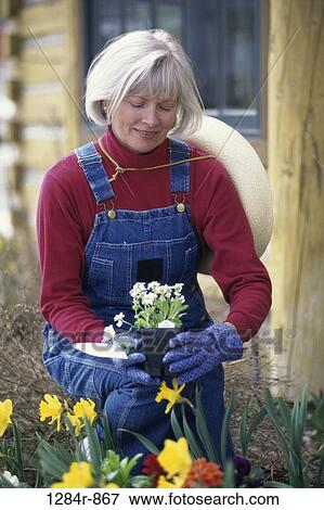 plant, people, woman, hat, senior, flowers, gardening View Large Photo Image Stock Photo - plant, people, woman, hat, senior, flowers, gardening. Fotosearch