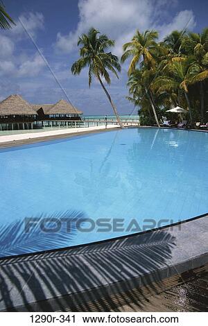 Stock Image - pool, tropical, swimming pool, Pools swimming. Fotosearch