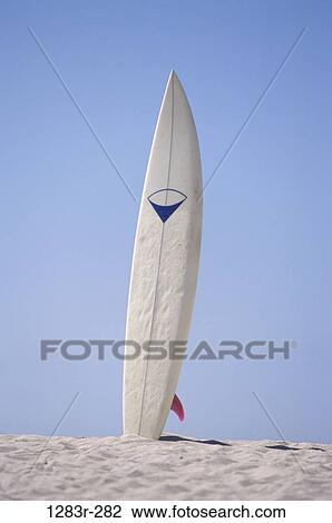 sand, sports, water sports, surfboard, sports equipment, still life, surfing View Large Photo Image Stock Image - sand, sports, water sports, surfboard, sports equipment, still life, surfing. Fotosearch
