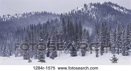 Stock Photography - Sawtooth National Forest, Idaho, USA. Fotosearch