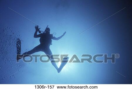 silhouette, sports, water sports, scuba, underwater, scuba diving View Large Photo Image Stock Photo - silhouette, sports, water sports, scuba, underwater, scuba diving. Fotosearch
