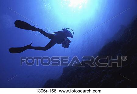 silhouette, sports, water sports, scuba, underwater, perspective View Large Photo Image Stock Photograph - silhouette, sports, water sports, scuba, underwater, perspective. Fotosearch