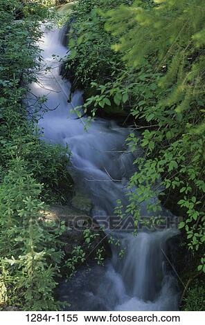 Slate Creek, Idaho, USA View Large Photo Image Stock Photography - Slate Creek, Idaho, USA. Fotosearch