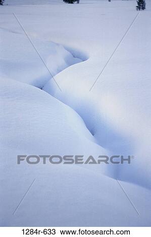 snow, ground, winter, nature, detail, close-up View Large Photo Image Stock Image - snow, ground, winter, nature, detail, close-up. Fotosearch