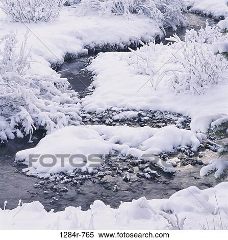 Stock Photography - snow, winter, nature, monochromatic, season. Fotosearch