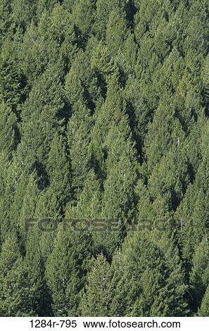 Stock Photography - Stanley, Idaho, USA. Fotosearch