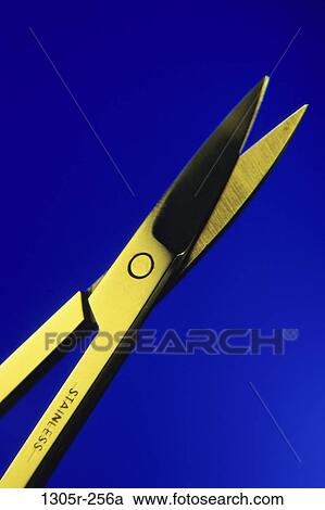 still life, scissors, housewares, nail clippers, Household still lifes View Large Photo Image Stock Image - still life, scissors, housewares, nail clippers, Household still lifes. Fotosearch