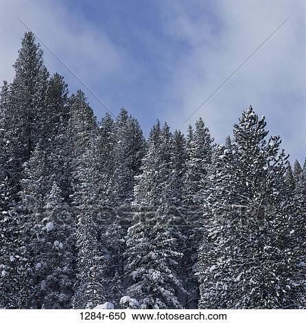 Sun Valley, Idaho, USA View Large Photo Image Stock Image - Sun Valley, Idaho, USA. Fotosearch
