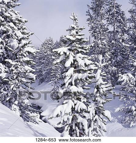 Stock Image - Sun Valley, Idaho, USA. Fotosearch