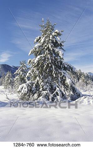 Stock Image - Sun Valley, Idaho, USA. Fotosearch
