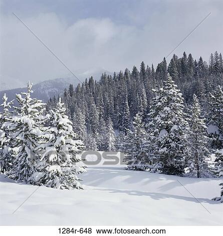 Sun Valley, Idaho, USA View Large Photo Image Stock Photo - Sun Valley, Idaho, USA. Fotosearch