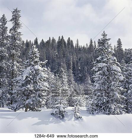 Stock Photo - Sun Valley, Idaho, USA. Fotosearch