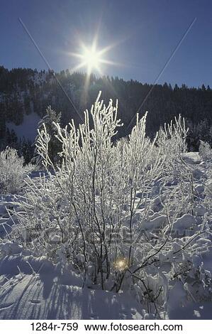 Sun Valley, Idaho, USA View Large Photo Image Stock Photo - Sun Valley, Idaho, USA. Fotosearch