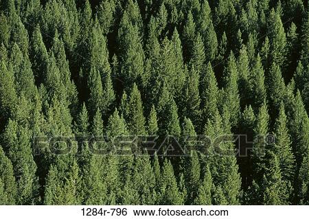 Stock Photograph - Sun Valley, Idaho, USA. Fotosearch