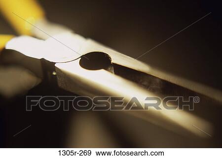 tool, still life, hardware, pliers, needle-nosed, needle-nosed pliers View Large Photo Image Stock Photo - tool, still life, hardware, pliers, needle-nosed, needle-nosed pliers. Fotosearch