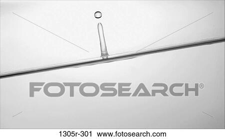 Stock Image - water, clear, nature, wet, liquid, drop. Fotosearch