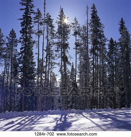 Wyoming, USA View Large Photo Image Stock Image - Wyoming, USA. Fotosearch