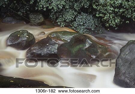 Yangmingshan National Park, Taiwan View Large Photo Image Stock Image - Yangmingshan National Park, Taiwan. Fotosearch