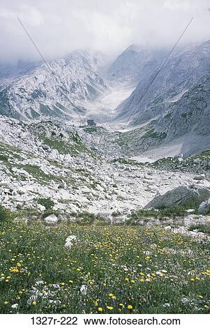 Alps, Italy View Large Photo Image Stock Image - Alps, Italy. Fotosearch