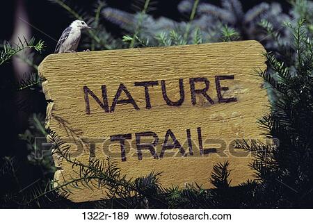 bird, nature, sign, trail, Signage uprights View Large Photo Image Stock Photo - bird, nature, sign, trail, Signage uprights. Fotosearch