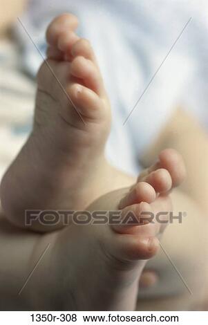 blur, baby, body parts, feet, Caucasian, Body parts feet View Large Photo Image Stock Photo - blur, baby, body parts, feet, Caucasian, Body parts feet. Fotosearch
