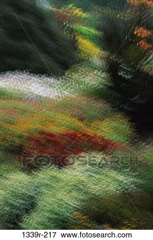 Stock Photo - , blur, flowers, flower, nature, garden, impressionistic. Fotosearch