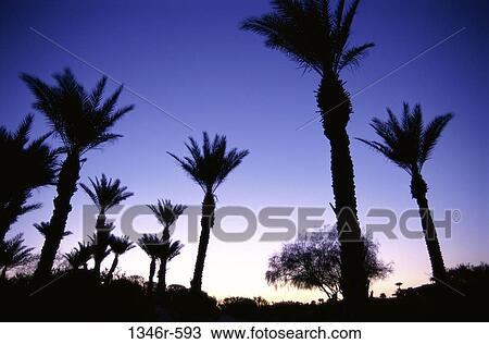 Borrego Springs, California, USA View Large Photo Image Stock Image - Borrego Springs, California, USA. Fotosearch