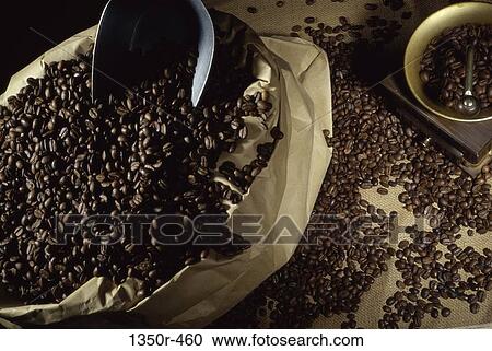Coffee Beans View Large Photo Image Stock Image - Coffee Beans. Fotosearch