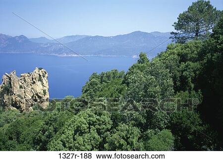 Corsica, France View Large Photo Image Stock Photo - Corsica, France. Fotosearch