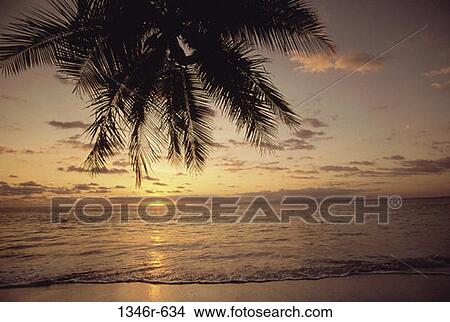 Picture - Costa Rica. Fotosearch