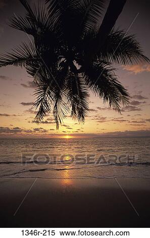 Stock Photography - Costa Rica. Fotosearch