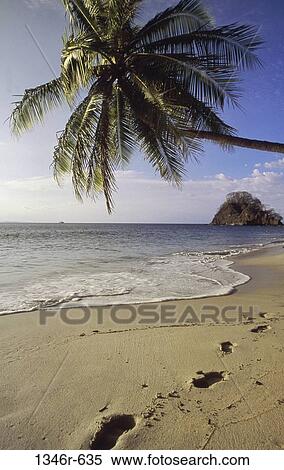 Costa Rica View Large Photo Image Stock Photography - Costa Rica. Fotosearch