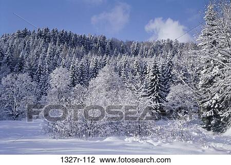 Czech Republic View Large Photo Image Stock Image - Czech Republic. Fotosearch