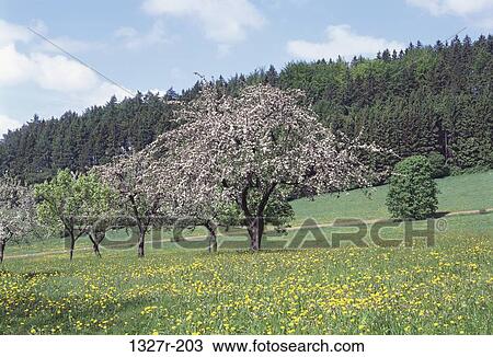 Czech Republic View Large Photo Image Stock Image - Czech Republic. Fotosearch