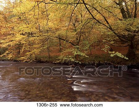 Dartmoor National Park, England View Large Photo Image Stock Photography - Dartmoor National Park, England. Fotosearch