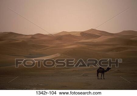 Erg Chebbi Dunes, Morocco View Large Photo Image Picture - Erg Chebbi Dunes, Morocco. Fotosearch