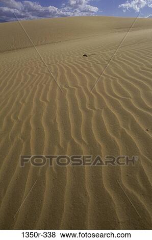 Estado Falcon, Venezuela View Large Photo Image Stock Photo - Estado Falcon, Venezuela. Fotosearch