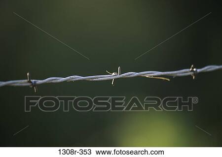 fence, danger, wire, pointed, detail, barbed wire View Large Photo Image Stock Image - fence, danger, wire, pointed, detail, barbed wire. Fotosearch