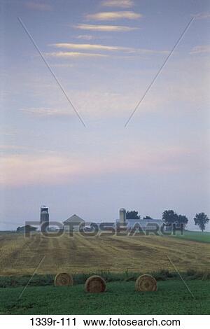 Field, farm, farming, harvest, buildings, hay, silos View Large Photo Image Stock Image - Field, farm, farming, harvest, buildings, hay, silos. Fotosearch