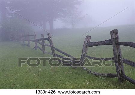 Field, fence, fog, morning, rural, mist, falling View Large Photo Image Stock Photograph - Field, fence, fog, morning, rural, mist, falling. Fotosearch