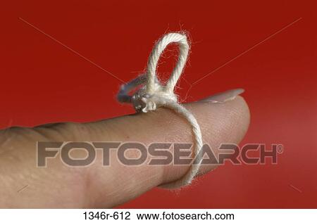 Stock Image - finger, hand, body parts, bow, string, tied. Fotosearch