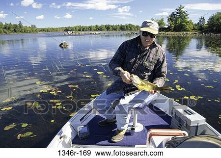 fish, water, senior, catching, lake View Large Photo Image Stock Photo - fish, water, senior, catching, lake. Fotosearch